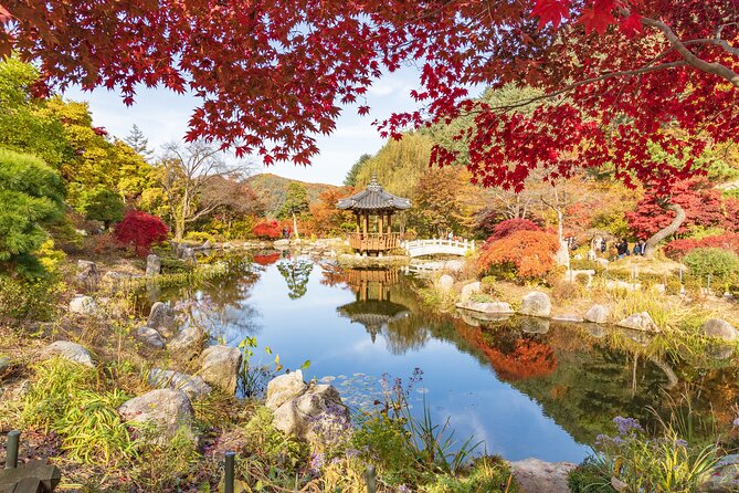 (Private tour) Nami Island + Railbike + Garden of morning calm - Nami Island: a wooded first stop