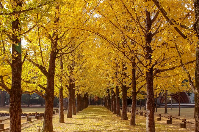 (Private tour) Nami Island + Railbike + Garden of morning calm - Garden of Morning Calm by season