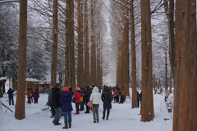 Private Tour Nami Island with Petite France 'and/or' The Garden of Morning Calm - Nami Island, the day’s main attraction