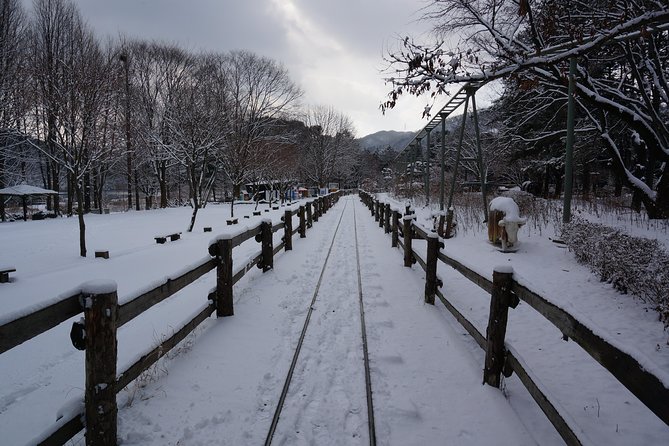 Private Tour Rail Bike & Nami Island & (Petite France or Garden of Morning Calm) - Practical booking advice before you go