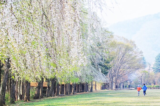 Private Tour to Alpaca world &Nami Island& Railbike with Tickets - Who will enjoy this tour most