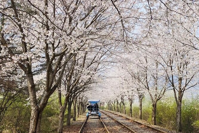 Private Tour to Alpaca world &Nami Island& Railbike with Tickets - Should you book this private countryside trip?