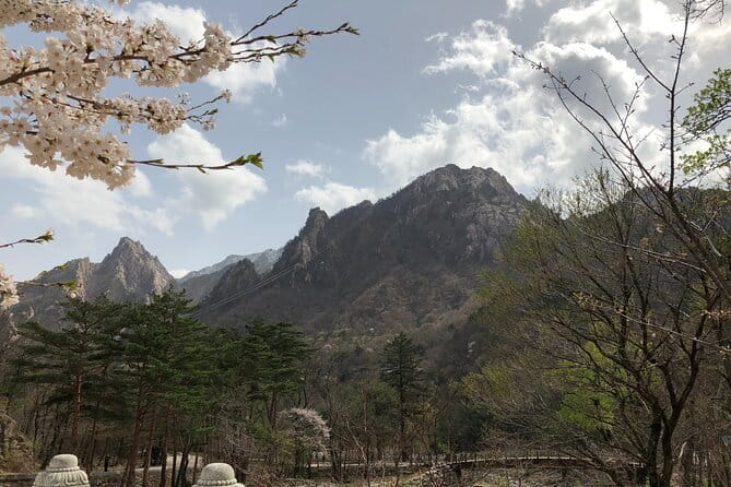 Seoraksan and Cherry Blossom Lake 1 day trip from Seoul - Key points at a glance
