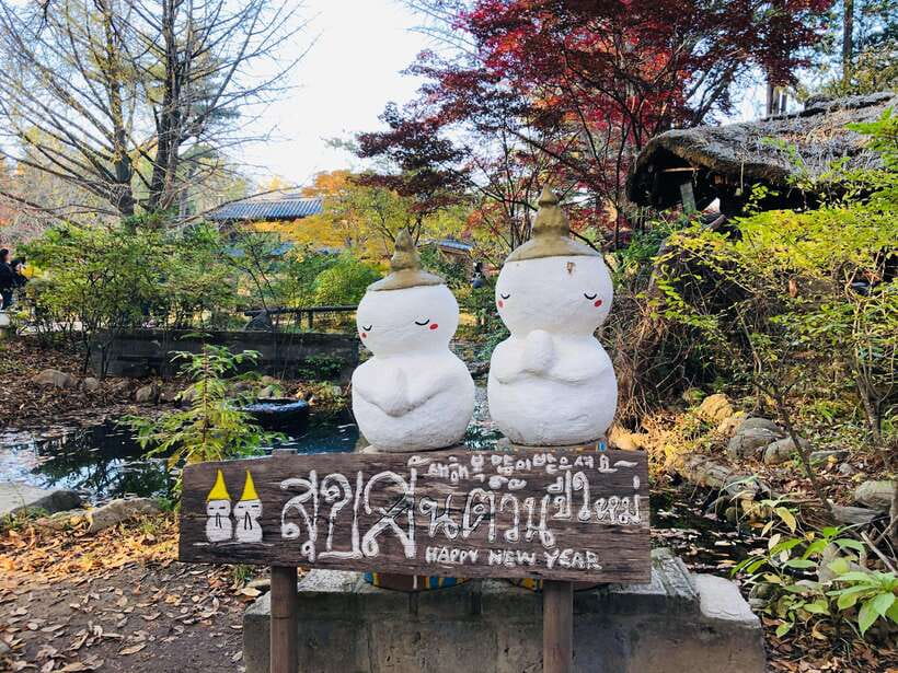 Seoul: Alpaca, Nami, Morning Calm or Eobi (+Rail Bike) - Garden of Morning Calm after the main sights