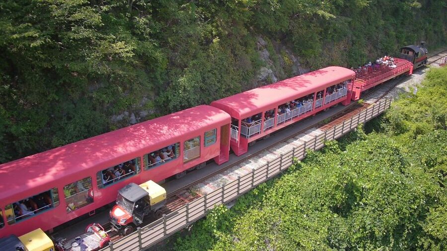 Seoul: Alpaca World & Nami Island optional Gangchon Railbike - The coach ride and the value of guided transport
