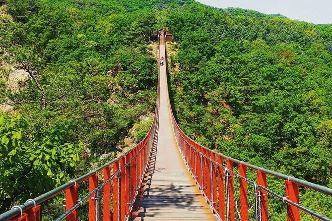 Seoul and Suburbs Private Customized Tour - The Garden of Morning Calm for Two Hours
