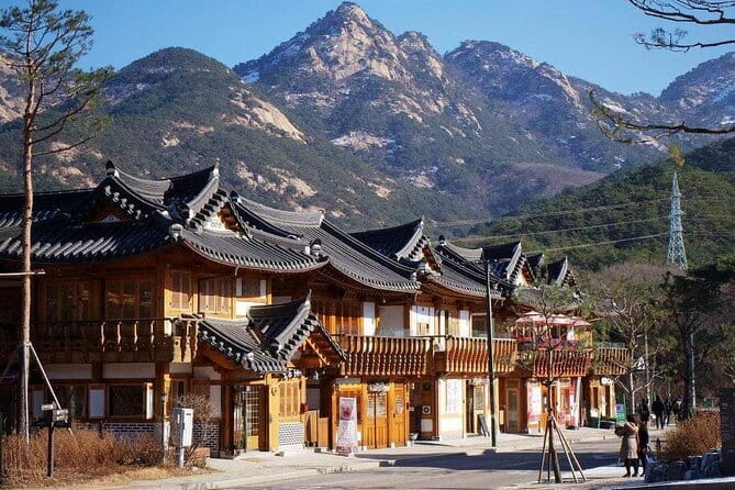 Seoul and Suburbs Private Customized Tour - Nami Island in a Four-Hour Visit