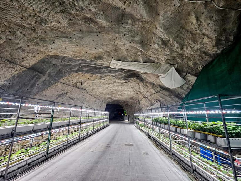 Seoul: Chungju Cruise, Cable Car & Cave Kayak Adventure Tour - What the $69 price really covers