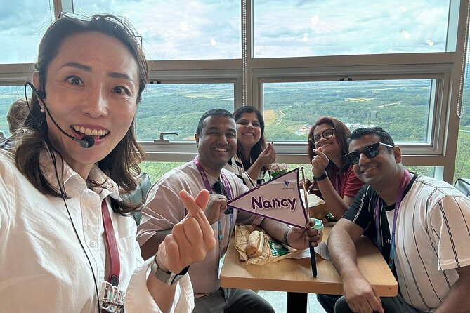 Seoul City Private Tour (Optional : Seoul, DMZ, Nami Island) - Choosing Seoul, the DMZ, or Nami Island