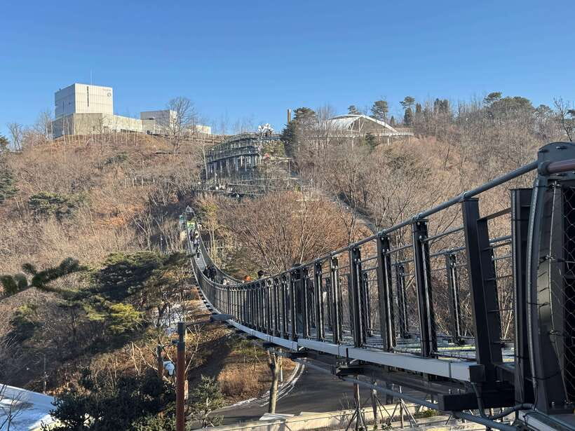Seoul: Closest DMZ Observatory with North Korea View (1.4km) - Aegibong Peace Eco Park and its ecological focus