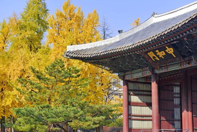 Seoul: Deoksugung Palace Night Tour - The stone wall and the mood after sunset