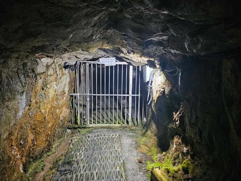 Seoul: DMZ 2nd Tunnel and Suspension Bridge Tour - Who should book this tour?