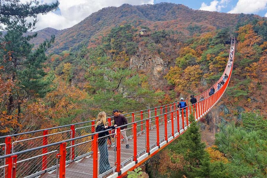 Seoul: DMZ Guided Tour with Suspension Bridge and Gondola - The ride north from Seoul