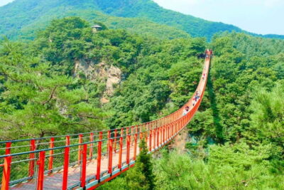 DMZ The 3rd Tunnel and Suspension Bridge Tour
