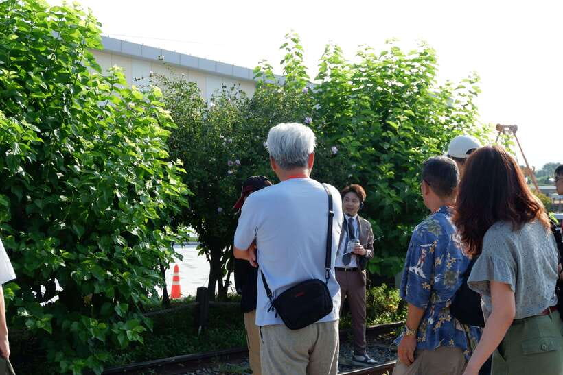 Seoul: DMZ Tour with Japanese-Speaking Guide - Unification Village offers a gentler final stop