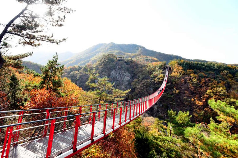 Seoul: DMZ Tour with Optional Suspension Bridge - Why the DMZ makes such a powerful day trip
