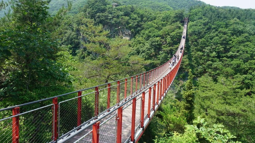 Seoul: DMZ Tour with Optional Suspension Bridge - Imjingak and the Bridge of Freedom