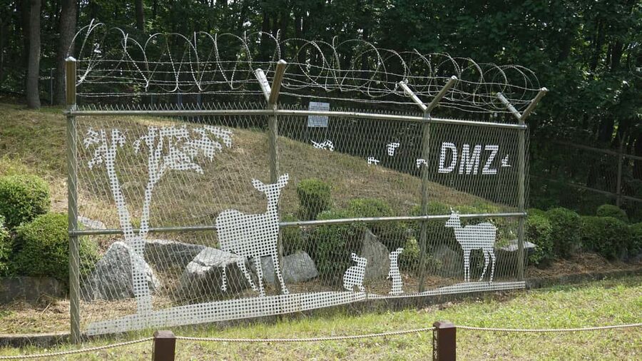 Seoul: DMZ Tour with Optional Suspension Bridge - Walking into the 3rd Infiltration Tunnel