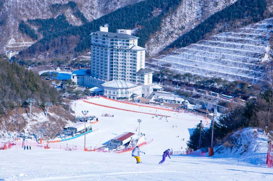 Seoul: Elysian Gangchon Winter Ski Resort Fun Day Tour - The one-hour lesson for first-timers