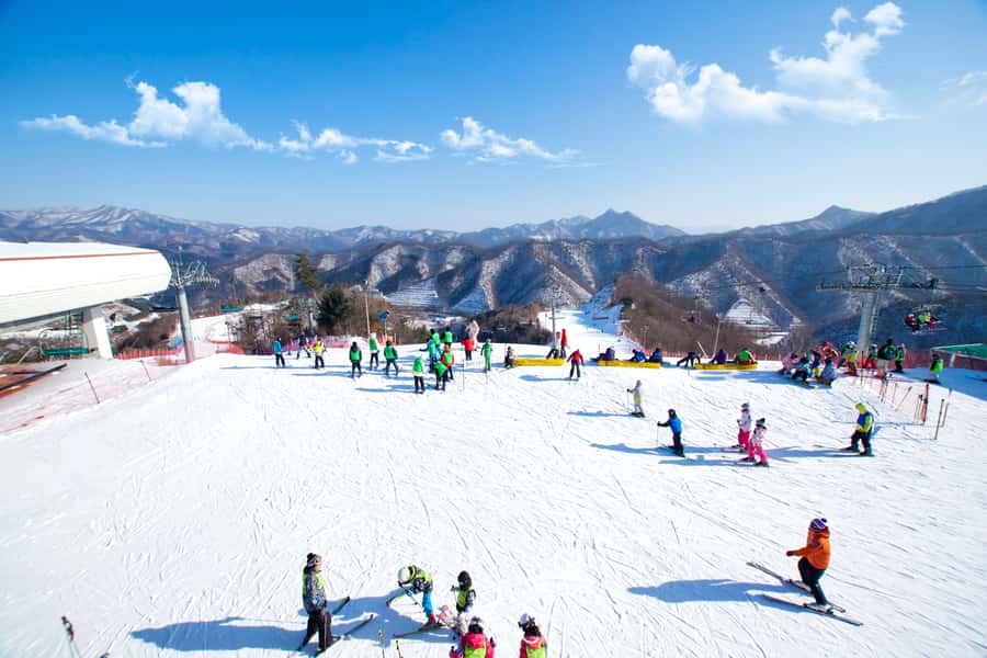 Seoul: Elysian Gangchon Winter Ski Resort Fun Day Tour - Free time until 4:00pm
