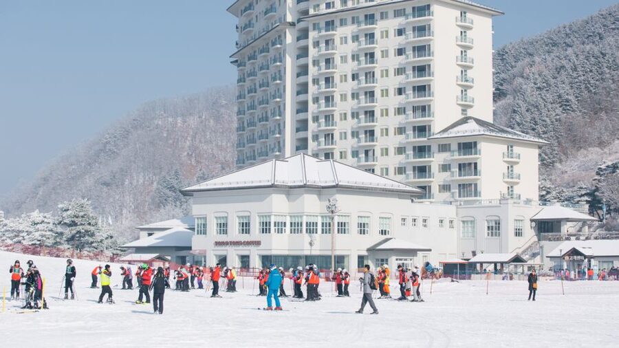 Seoul: Elysian Gangchon Winter Ski with Nami Island Day Tour - Key points to know before booking