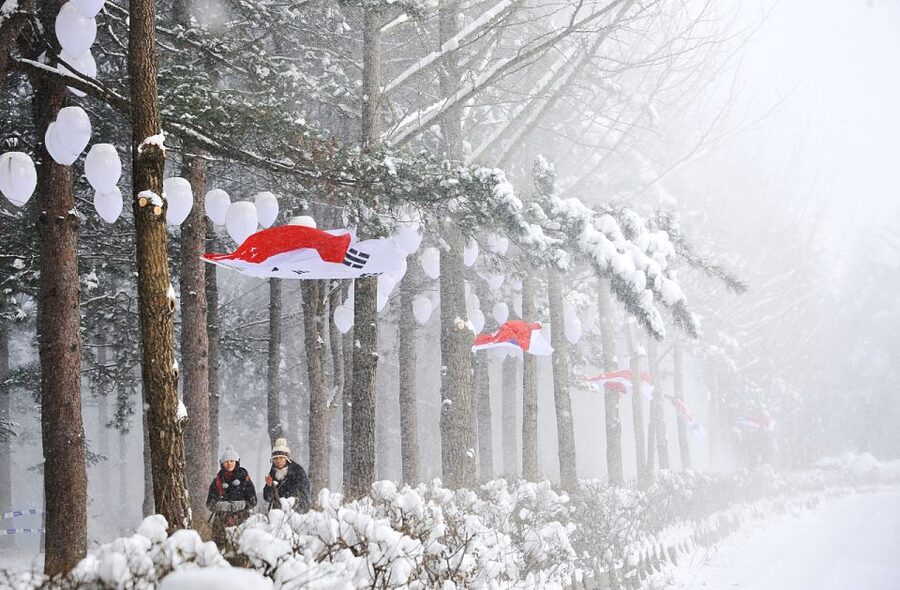 Seoul: Elysian Gangchon Winter Ski with Nami Island Day Tour - Practical verdict