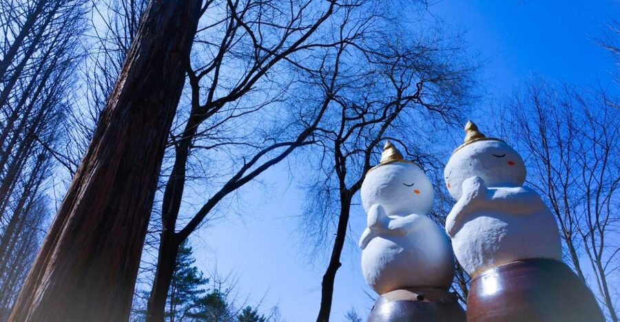 Seoul: Elysian Gangchon Winter Ski with Nami Island Day Tour - Nami Island in the snow