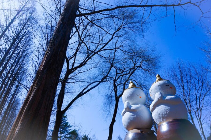 Seoul: Elysian Gangchon Winter Ski with Nami Island Day Tour - Choosing between skiing, snowboarding, sledding, and sightseeing