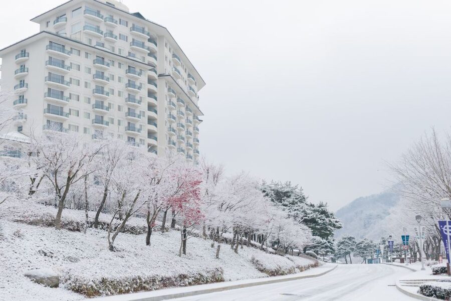 Seoul: Elysian Gangchon Winter Ski with Nami Island Day Tour - Three hours at the ski resort