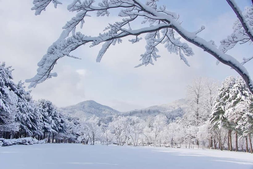 Seoul: Elysian Gangchon Winter Ski with Nami Island Day Tour - Morning pickup from four Seoul locations