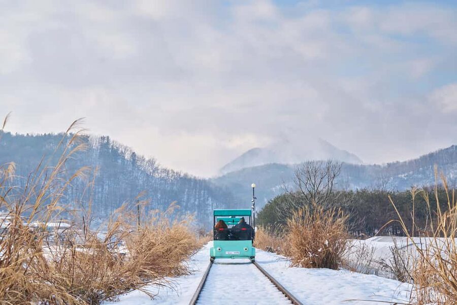 Seoul: Eobi Ice Valley, Alpaca World, Nami Island and More - Eobi Ice Valley: a short, striking first stop