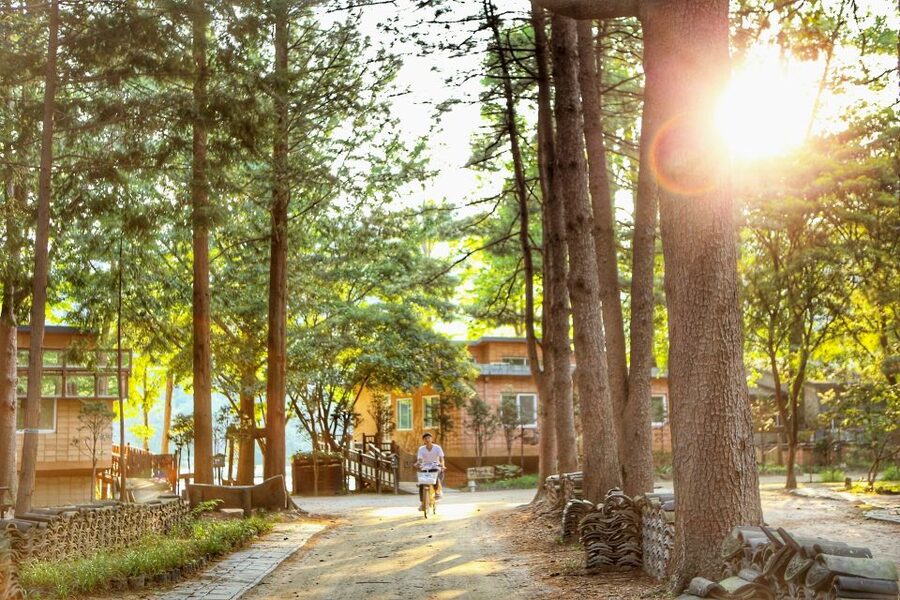 Seoul: Eobi Valley(Winter), Strawberry, Nami Island and Bike - Key points at a glance