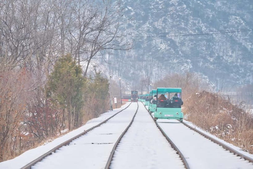 Seoul: Eobi Valley(Winter), Strawberry, Nami Island and Bike - Who should book this experience?