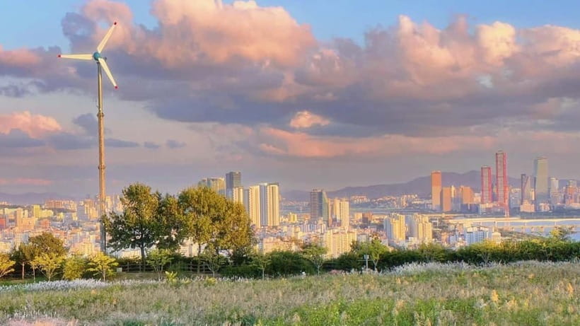 Seoul Full-Day City Tour: Hanok Village, Scenic Routes - Why this day works for seeing more of Seoul