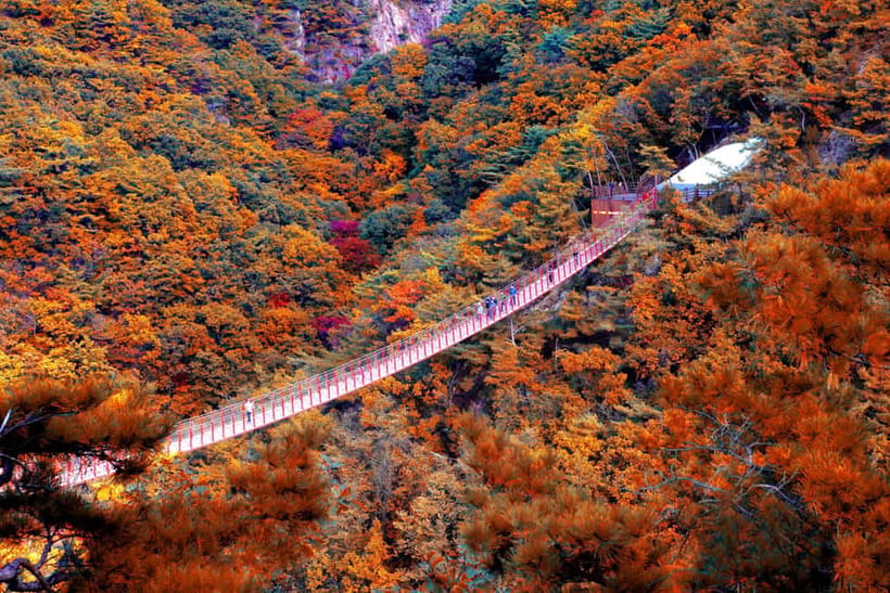 Seoul Full-Day City Tour: Hanok Village, Scenic Routes - Haneul Park and the Silver Grass Festival