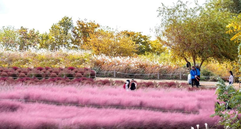 Seoul Full-Day City Tour: Hanok Village, Scenic Routes - Eunpyeong Hanok Village and Jingwansa Temple