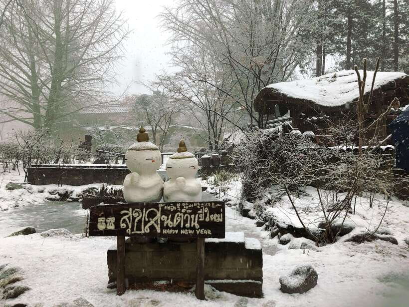 Seoul: Full-Day Winter Trip Ski Resort, Ice Valley, Namiseom - What to bring for the snow