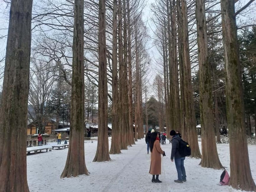Seoul: Full-Day Winter Trip Ski Resort, Ice Valley, Namiseom - The van rides are part of the bargain