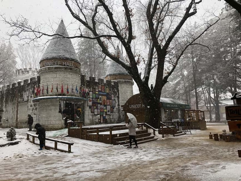 Seoul: Full-Day Winter Trip Ski Resort, Ice Valley, Namiseom - Is $48 a good deal?