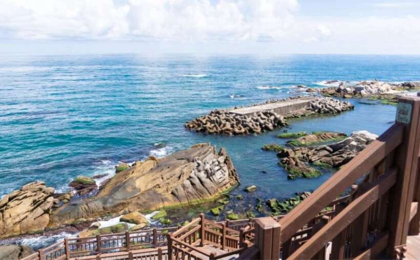 Seoul: Gangneung BTS K-Pop & K-Drama Filming Locations Tour - Art, coast, and the rhythm of the day