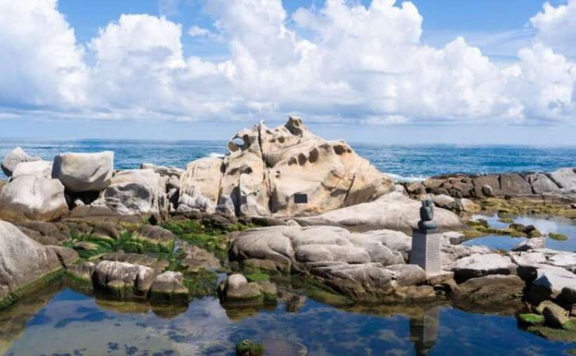 Seoul: Gangneung BTS K-Pop & K-Drama Filming Locations Tour - Is the $104 price good value?
