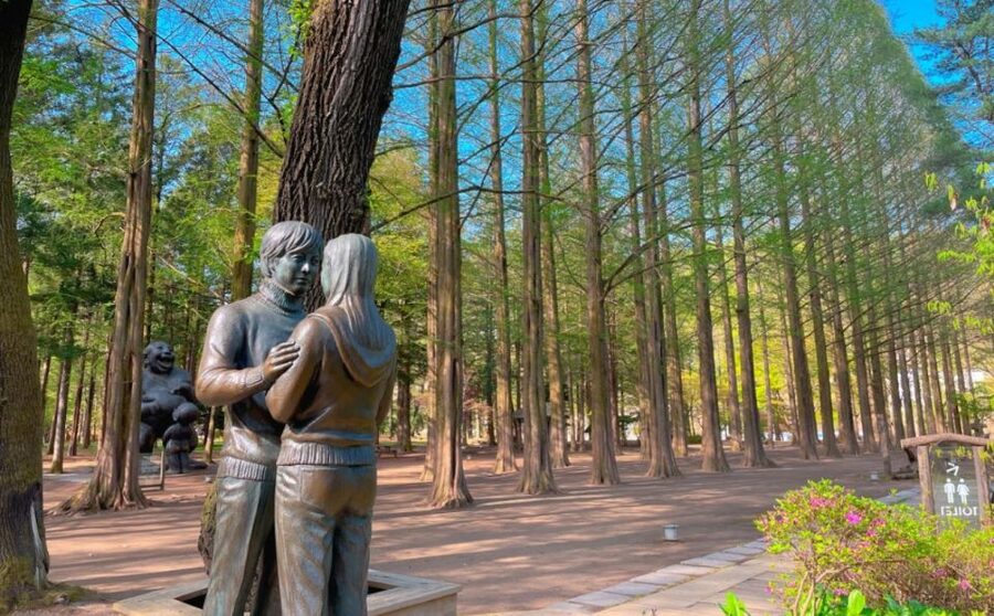Seoul: Gangwon-do Day Trip with Alpaca World & Nami Island - Group or private tour?