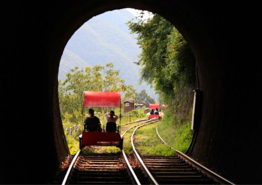 Seoul: Gangwon-do Day Trip with Alpaca World & Nami Island - Nami Island and its famous tree-lined paths