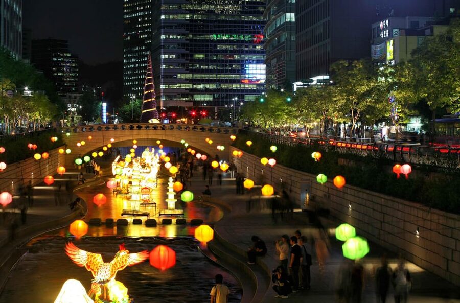 Seoul Gwangjang Market Foody Walking Tour - How to judge the price and food value