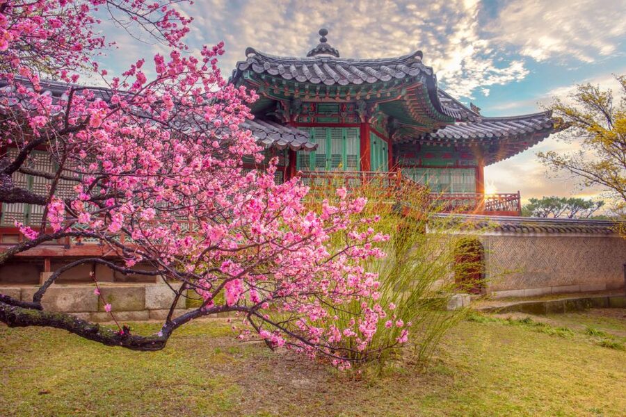 Seoul: Gyeongbok Palace and Bukchon Hanok Walking Tour - Key points at a glance