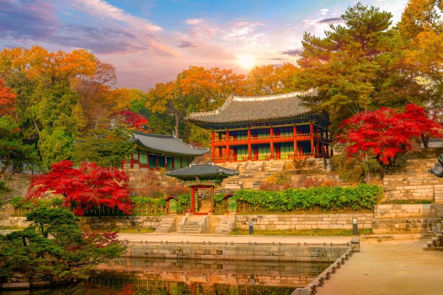 Seoul: Gyeongbok Palace and Bukchon Hanok Walking Tour - My verdict: a strong first morning in Seoul