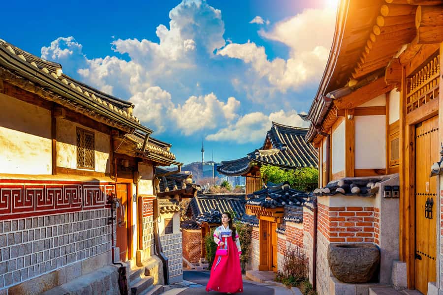 Seoul: Gyeongbokgung / Hanok Village / N Seoul Tower - Samgyetang lunch and dietary requests