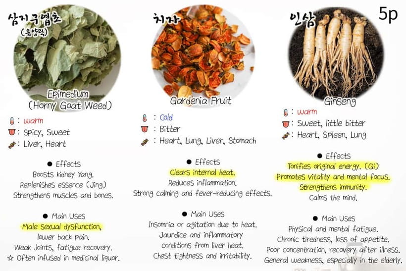 Seoul: Herbal Tea Class & Korean Medicine Tour - Who will get the most from this afternoon