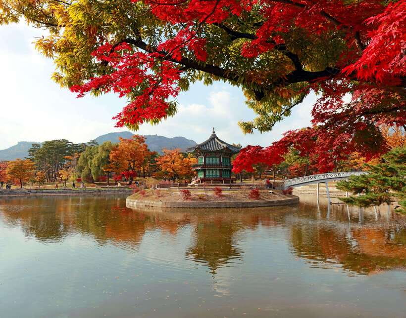 Seoul Highlights: Gyeongbok Palace, Insadong & N Seoul Tower - Key points to know before booking