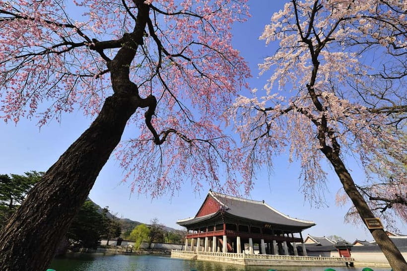 Seoul: Highlights of Seoul Full-Day Tour - Gyeongbokgung and the royal guard ceremony